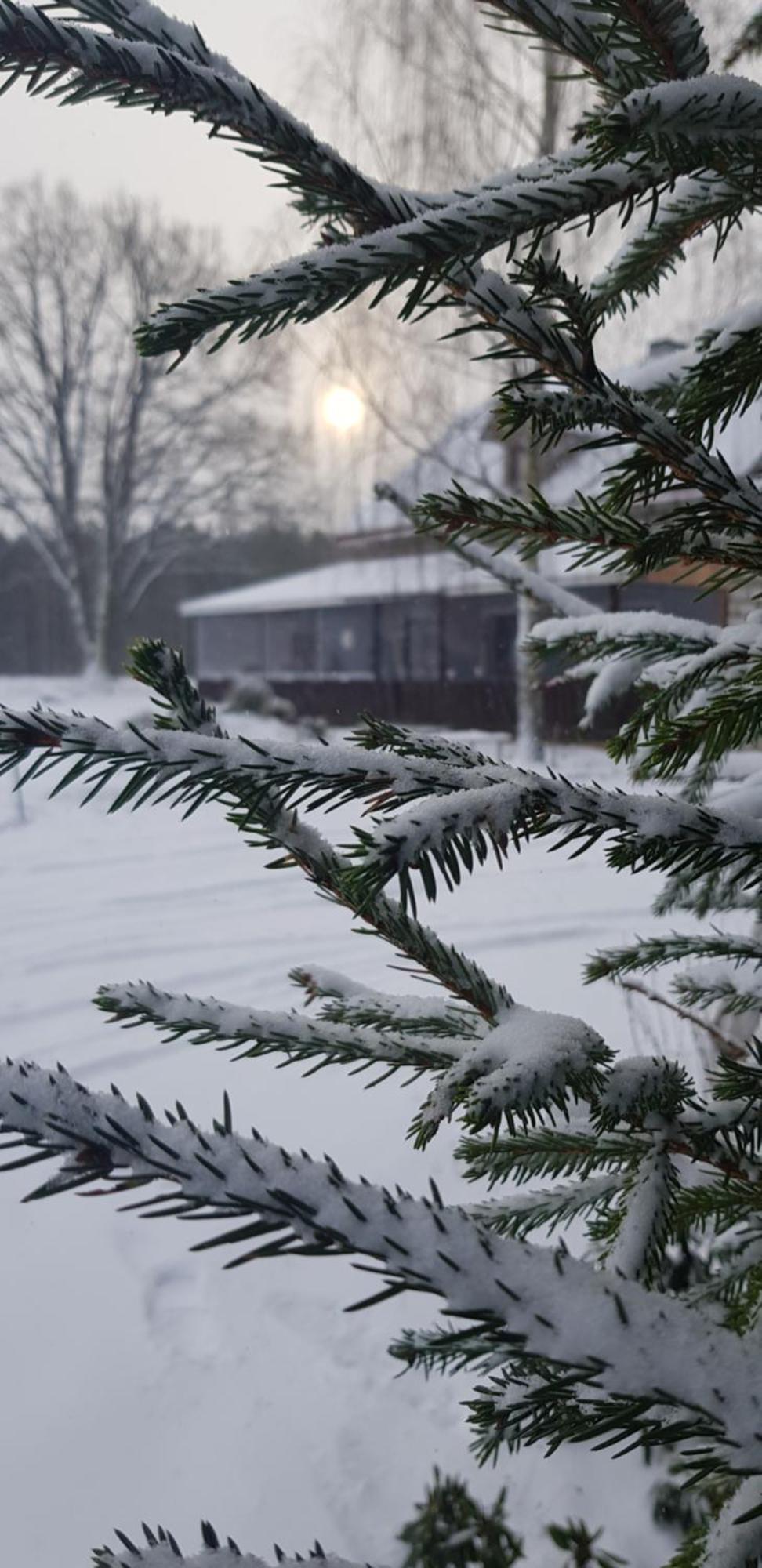 Malinada-Kaimo Sodyba Villa Salcininkai Buitenkant foto