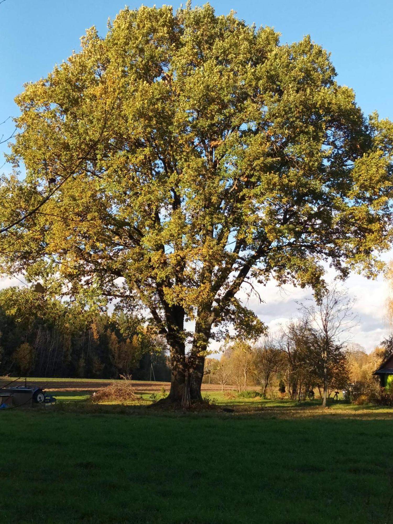 Malinada-Kaimo Sodyba Villa Salcininkai Buitenkant foto